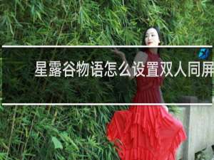 星露谷物语怎么设置双人同屏