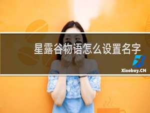 星露谷物语怎么设置名字