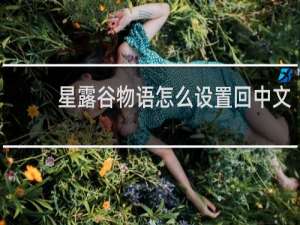 星露谷物语怎么设置回中文