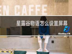 星露谷物语怎么设置屏幕