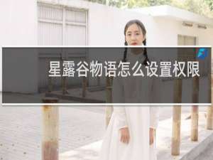 星露谷物语怎么设置权限