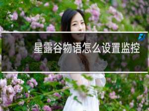 星露谷物语怎么设置监控