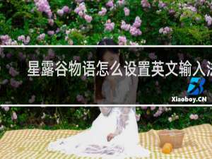 星露谷物语怎么设置英文输入法