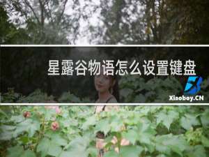 星露谷物语怎么设置键盘