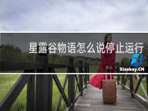 星露谷物语怎么说停止运行