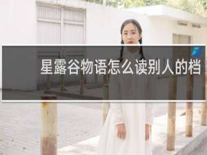 星露谷物语怎么读别人的档