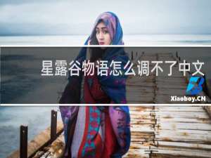 星露谷物语怎么调不了中文