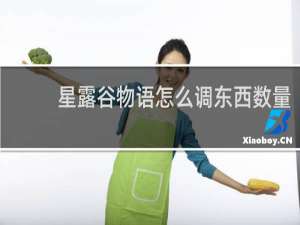 星露谷物语怎么调东西数量