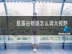 星露谷物语怎么调大视野