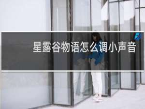 星露谷物语怎么调小声音
