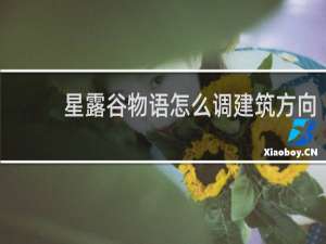 星露谷物语怎么调建筑方向