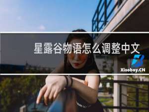 星露谷物语怎么调整中文
