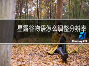 星露谷物语怎么调整分辨率