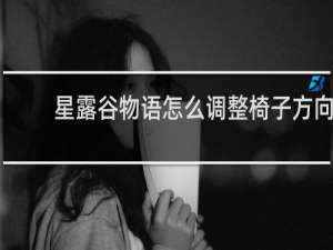 星露谷物语怎么调整椅子方向