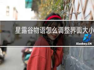 星露谷物语怎么调整界面大小