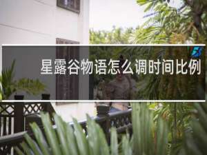 星露谷物语怎么调时间比例