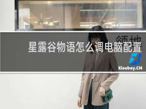 星露谷物语怎么调电脑配置