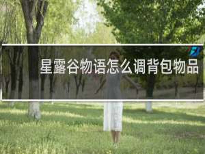星露谷物语怎么调背包物品