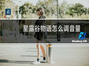 星露谷物语怎么调音量