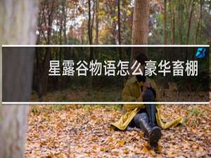 星露谷物语怎么豪华畜棚