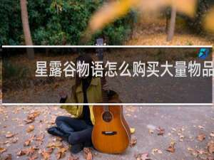 星露谷物语怎么购买大量物品