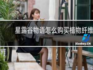 星露谷物语怎么购买植物纤维