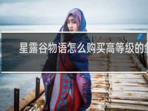 星露谷物语怎么购买高等级的剑