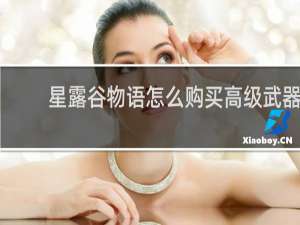 星露谷物语怎么购买高级武器
