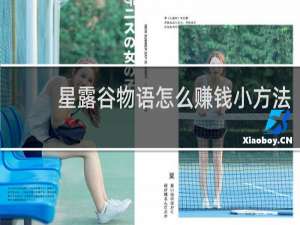 星露谷物语怎么赚钱小方法
