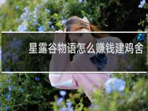 星露谷物语怎么赚钱建鸡舍