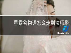 星露谷物语怎么走到法师塔