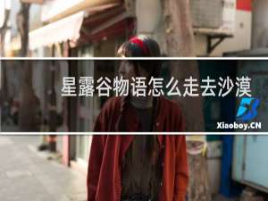 星露谷物语怎么走去沙漠