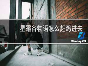 星露谷物语怎么赶鸡进去