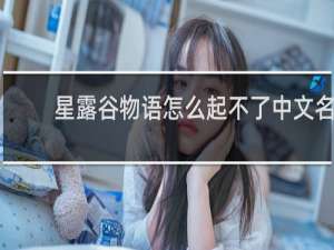 星露谷物语怎么起不了中文名
