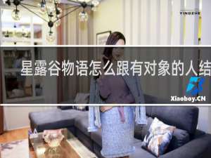 星露谷物语怎么跟有对象的人结婚