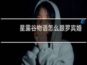 星露谷物语怎么跟罗宾婚