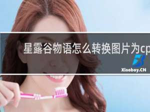 星露谷物语怎么转换图片为cp
