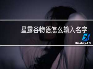 星露谷物语怎么输入名字