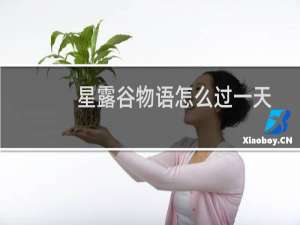 星露谷物语怎么过一天