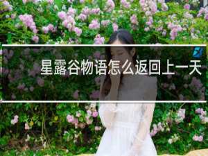 星露谷物语怎么返回上一天