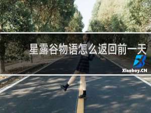 星露谷物语怎么返回前一天