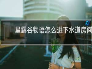 星露谷物语怎么进下水道房间
