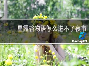 星露谷物语怎么进不了夜市