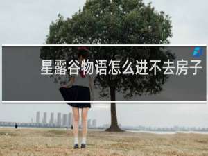 星露谷物语怎么进不去房子