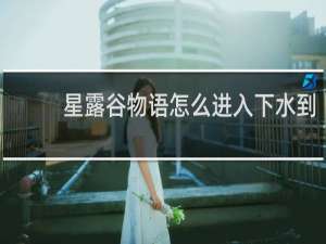 星露谷物语怎么进入下水到