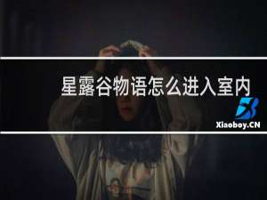 星露谷物语怎么进入室内