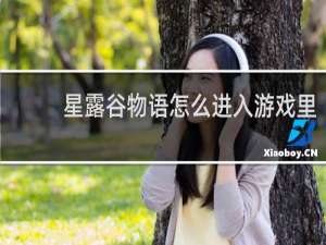 星露谷物语怎么进入游戏里