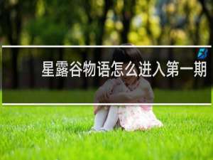星露谷物语怎么进入第一期