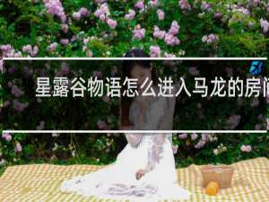 星露谷物语怎么进入马龙的房间