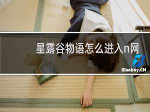 星露谷物语怎么进入n网
